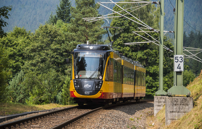 AVG Zug auf Schienen fährt Berg im Wald hoch hoch 