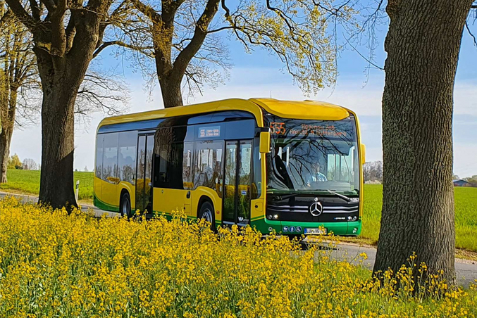 Ein gelber VLP Elektrobus fährt auf einer Straße zwischen gelben Rapsfeldern