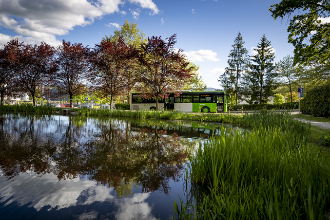 Ein weiß-grüner Bus fährt an einem See umsäumt von Bäumen in herbstlichen Farben.
